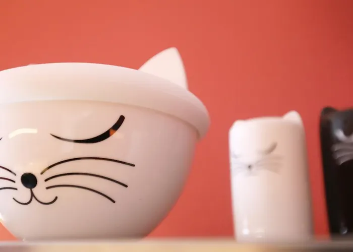 公寓 Gaestehaus-fulda 富尔达